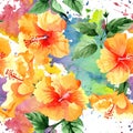 Watercolor orange naranja hibiscus flowers. Floral botanical flower. Seamless background pattern. Royalty Free Stock Photo