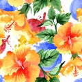 Watercolor orange naranja hibiscus flowers. Floral botanical flower. Seamless background pattern. Royalty Free Stock Photo