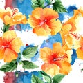 Watercolor orange naranja hibiscus flowers. Floral botanical flower. Seamless background pattern. Royalty Free Stock Photo