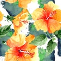 Watercolor orange naranja hibiscus flowers. Floral botanical flower. Seamless background pattern. Royalty Free Stock Photo