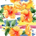 Watercolor orange naranja hibiscus flowers. Floral botanical flower. Seamless background pattern. Royalty Free Stock Photo