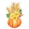 Watercolor orange pumpkin and yellow mums flowers, wheat sheaf, leaves, red berries. Autumn Thanksgiving holiday decor