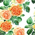 Watercolor orange rose with leaves. Floral seamless pattern. White background. Royalty Free Stock Photo