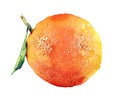 Watercolor orange and sliced orange fruit isolated on a white