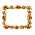 Watercolor orange sunflower flower. Floral botanical flower. Frame border ornament square. Royalty Free Stock Photo