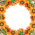Watercolor orange sunflower flower. Floral botanical flower. Frame border ornament square. Royalty Free Stock Photo