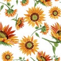 Watercolor orange sunflower flower. Floral botanical flower. Seamless background pattern. Royalty Free Stock Photo