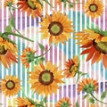 Watercolor orange sunflower flower. Floral botanical flower. Seamless background pattern. Royalty Free Stock Photo