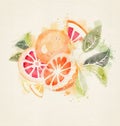 Watercolor oranges set isolated. Whole half cut chopped orange, red grapefruit slices, flowers leaves Royalty Free Stock Photo