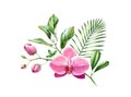 Watercolor Orchid bouquet. Branch of exotic pink flower in blossom. Floral arrangement with palm leaves. Colourful