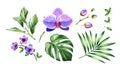 Watercolor Orchid plant set. Big purple flowers, palm, monstera leaves. Hand painted floral tropical collection Royalty Free Stock Photo