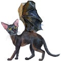 Watercolor oriental black cat with bat wings. Painting animal illustration
