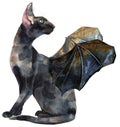 Watercolor oriental black cat with bat wings. Painting animal illustration