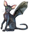 Watercolor oriental black cat with bat wings. Painting animal illustration