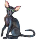 Watercolor oriental black cat. Painting animal illustration