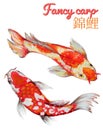 Watercolor oriental Fancy carp fish Koi set Isolated Underwater wildlife illustration Royalty Free Stock Photo