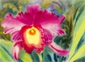 Watercolor original painting pink color of orchid flower