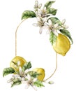 Watercolor oval frame of ripe lemons, leaves and flowers. Hand painted tropical border of fruits isolated on white