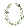 Watercolor oval wreath with greenery leaves branch twig plant herb flora isolated Royalty Free Stock Photo