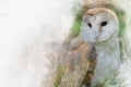 Watercolor owl isolated on white background. Royalty Free Stock Photo