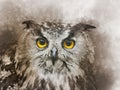 Watercolor owl isolated on white background. Hand drawn watercolor owl perfect for design greeting card or print Royalty Free Stock Photo