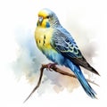 Watercolor paint beautiful budgie budgerigar parrot bird sits on a branch. Hand Drawn Summer Tropical Illustration Royalty Free Stock Photo