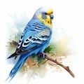 Watercolor paint beautiful budgie budgerigar parrot bird sits on a branch. Hand Drawn Summer Tropical Illustration