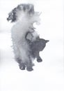 Watercolor paint with fluffy grey cat back