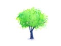 Watercolor paint green tree.isolated white background.