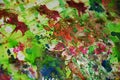 Watercolor paint waxy splashes, abstract creative background Royalty Free Stock Photo