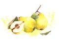 Watercolor painted arrangement, Yellow quince whole, cut fruits, leaves, splashes. Illustration