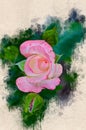 Watercolor painted beautiful stylized pink rose Royalty Free Stock Photo