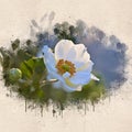Watercolor painted beautiful stylized white flower