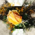 Watercolor painted beautiful stylized yellow rose