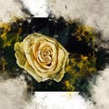 Watercolor painted beautiful yellow rose