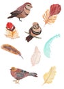 Watercolor painted collection of birds and feathers. Hand drawn design elements isolated on white background. Royalty Free Stock Photo