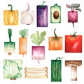 Watercolor painted collection of rectangle vegetables. Hand drawn fresh food design elements isolated on white background. Royalty Free Stock Photo