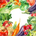 Watercolor painted collection of vegetables. Fresh colorful veggies background