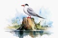 Watercolor painted common tern on a white background