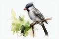 Watercolor painted eurasian blackcap on a white background