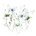 Watercolor painted floral growing bouquet on white background. Pastel blue wild poppy flowers, green branches, leaves.