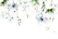 Watercolor painted floral seamless frame on white background. Violet, blue wild poppy flowers, green branches, leaves. Royalty Free Stock Photo