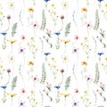 Watercolor floral seamless pattern. Yellow chamomiles, blue cornflowers, violet, pink wild flowers on white background.