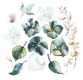 Watercolor painted floral set of dried flowers, hydrangea, leaves, branches, eucalyptus