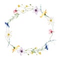 Watercolor painted floral wreath on white background. Yellow, blue, white and pink wild flowers. Vector illustration. Royalty Free Stock Photo