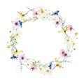 Watercolor painted floral wreath on white background. Yellow, blue, white and pink wild flowers. Vector illustration. Royalty Free Stock Photo