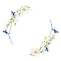 Watercolor painted floral wreath on white background. Yellow, blue, white wild flowers. Vector illustration. Royalty Free Stock Photo