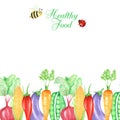 Watercolor painted frame of vegetables and insects, ladybug and bee. Hand drawn fresh healty vegan food design on white Royalty Free Stock Photo
