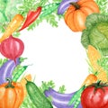 Watercolor painted frame of vegetables and insects, ladybug and bee. Hand drawn fresh healty vegan food design on white