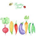 Watercolor painted frame of vegetables and insects, ladybug and bee. Hand drawn fresh healty vegan food design on white Royalty Free Stock Photo